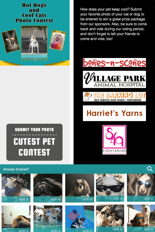 DOG DAY photo contest