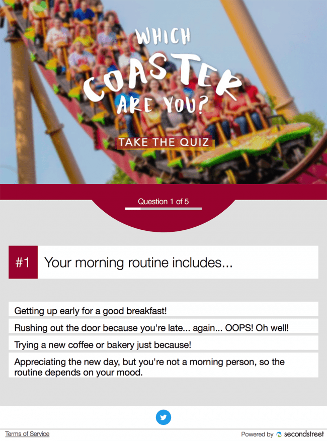 ROLLERCOASTER DAY quiz