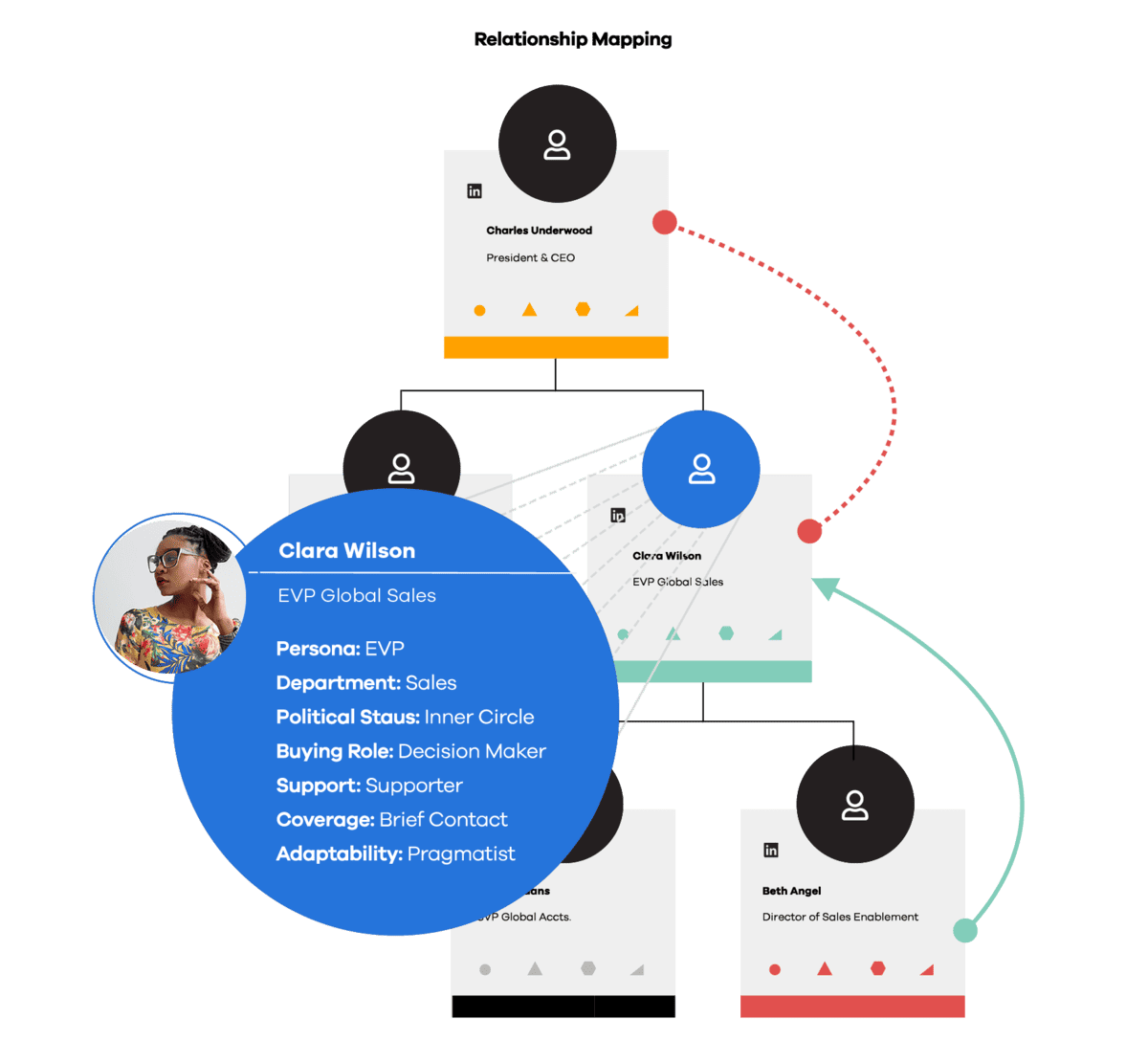A detailed relationship map showcasing connections between stakeholders with various information points such as influence level, sentiment, and role in decision-making, to strategize account management.